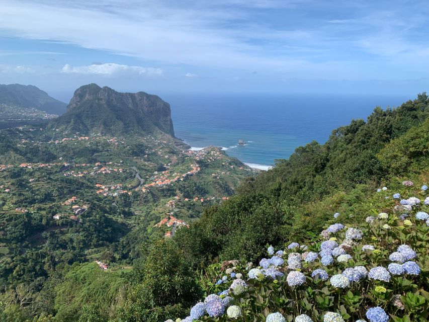 East Tour: Open Roof jeep tour to East Madeira - Santana - Ribeiro Frio trout reserve and the herb or fruit picking breaks