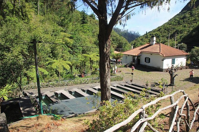 East Tour - Santana - Price and Logistics: Is 50.46 USD Good Value for East Madeira?