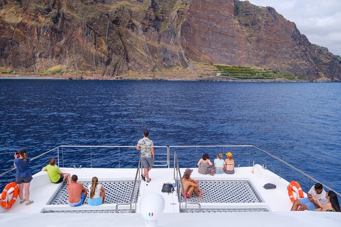 Eco-Friendly Catamaran Dolphin and Whale Watching - Meeting at Magic Dolphin in Funchal, then straight out to sea