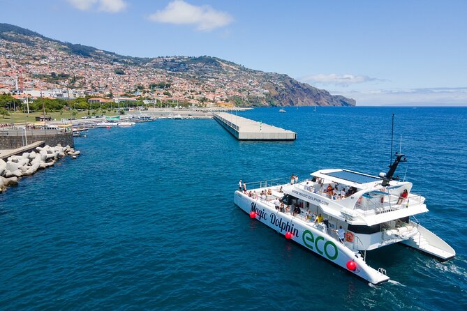 Eco-Friendly Catamaran Dolphin and Whale Watching - Eco-friendly claims, what to watch for on board