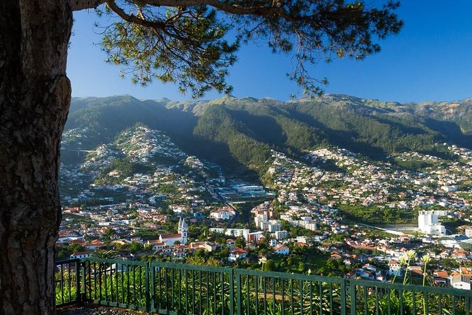 Eira do Serrado - Monte - Price and logistics, without the headache