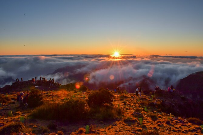 Embark on a Luxurious Private Journey: Unveiling the Madeira Best - Key points that make this tour worth your attention