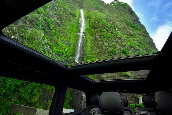 Embark on a Luxurious Private Journey: Unveiling the Madeira Best - Price and value: $577.25 per group is it worth it?