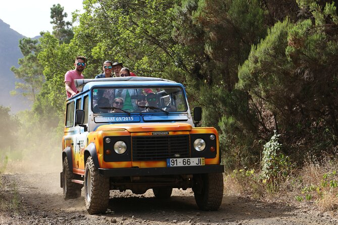Enchanted Vineyards, Wine 4x4 Tour and Sea Cliff Cabo Girão - What this 3.5-hour ride is really about