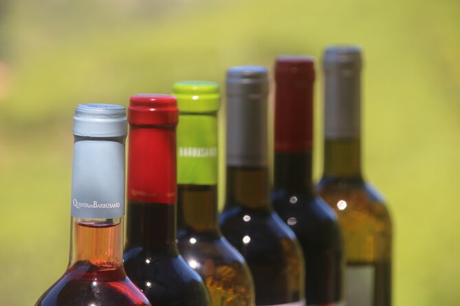 Enchanted Vineyards, Wine 4x4 Tour and Sea Cliff Cabo Girão - How to get the most from an open-top 4x4 day