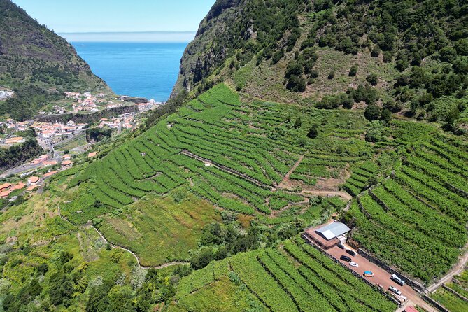 Enchanted Vineyards, Wine 4x4 Tour and Sea Cliff Cabo Girão - Pickup, timing, and group size you can feel