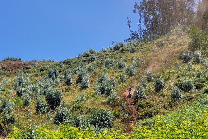 Enduro Dirt-Bike Tour - Stop 2, Chão das Feiteiras: Where Technique Shows Up