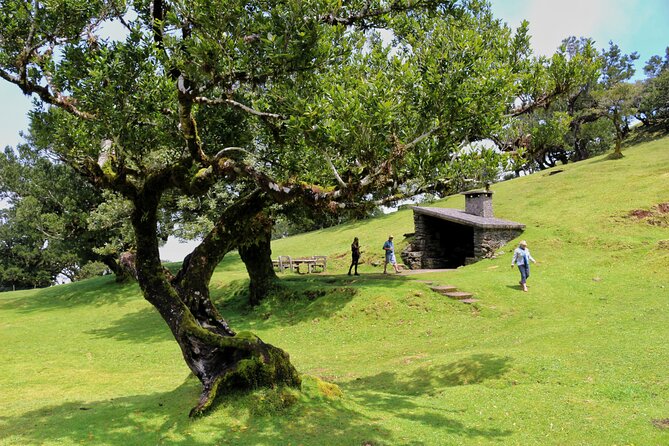 Exploring new Northwest frontiers: Beyond Madeira in 4x4 tour - Who should book this tour (and who might skip it)
