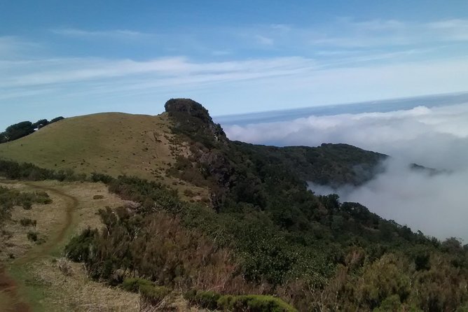 Fanal -Enchanted Forest - Price and value: what you pay, what you get, what to budget