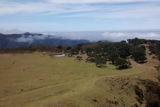 Fanal -Enchanted Forest - What to wear for Fanal: slippery trails and fast-changing weather