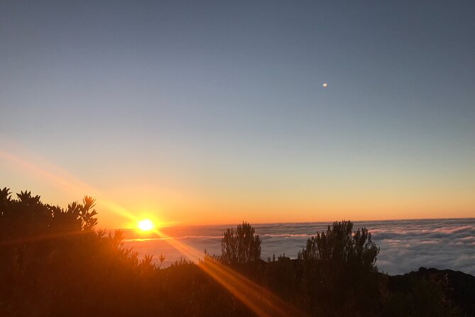 Fanal Forest Private Sunset Hike - Why Fanal at sunset feels special
