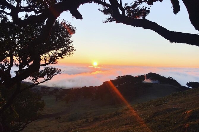 Fanal Forest Private Sunset Hike - What you might add on the day: food and extra stops