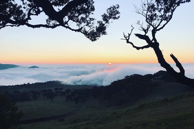 Fanal Forest Private Sunset Hike - Stop at Posto Florestal Fanal, your entry into the forest