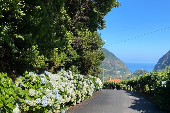 Fanal Forest, Skywalk & Lava Pools: West Madeira 4x4 Expedition - Seixal’s black sand beach and Ribeira da Janela’s wild rocks