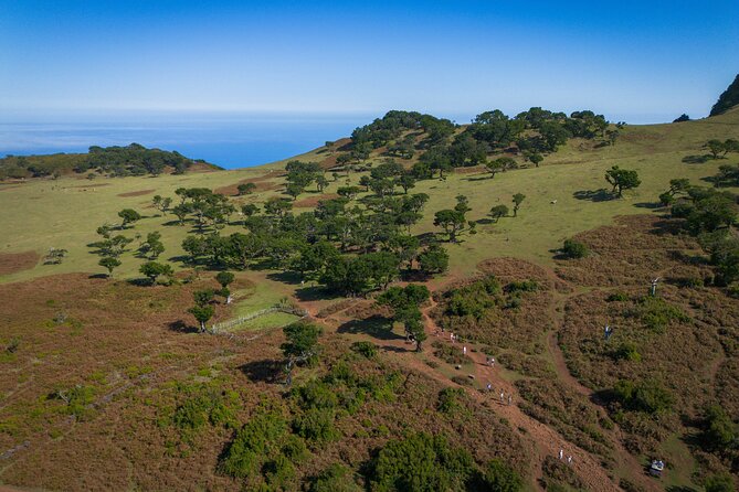 Fanal & Porto Moniz - West Madeira Tour - What to watch for: timing, lunch planning, and weather