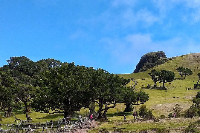 Fascinated Landscapes Northwest 4x4 excursion - São Vicente: a strong mid-day shift from mountains to the coast