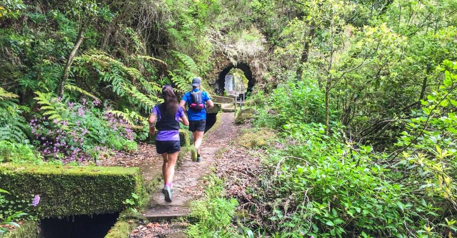 Folhadal Hidden Treasures Running Tour - A 3-hour Madeira trail run with real effort