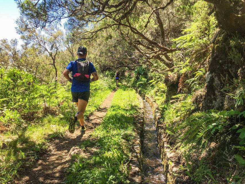 Folhadal Hidden Treasures Running Tour - Laurel forest waterfalls, humidity, and the sound of running