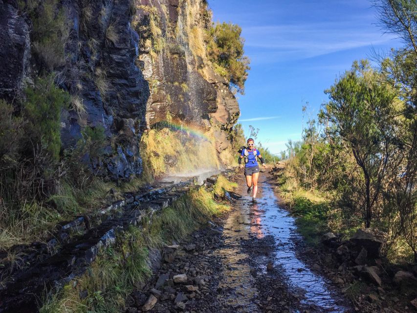 Folhadal Hidden Treasures Running Tour - The last 3 kilometers: slight downhill on roads
