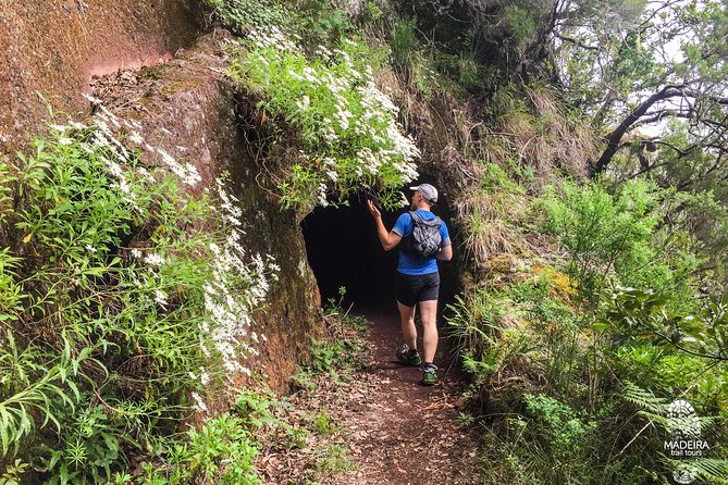 Folhadal Hidden Treasures Running Tour (Moderate) - Final 3km Downhill Road Back to Start