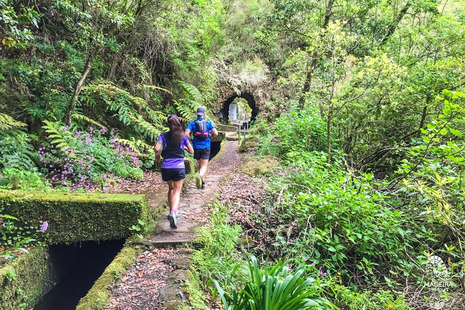 Folhadal Hidden Treasures Running Tour (Moderate) - Laurissilva Forest Start: Running a Levada and Feeling the Humidity