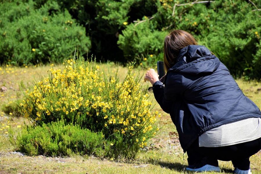 From Funchal: 2-Day Guided Tour of Madeira - Who This Tour Suits Best (and Who Might Want Another Option)