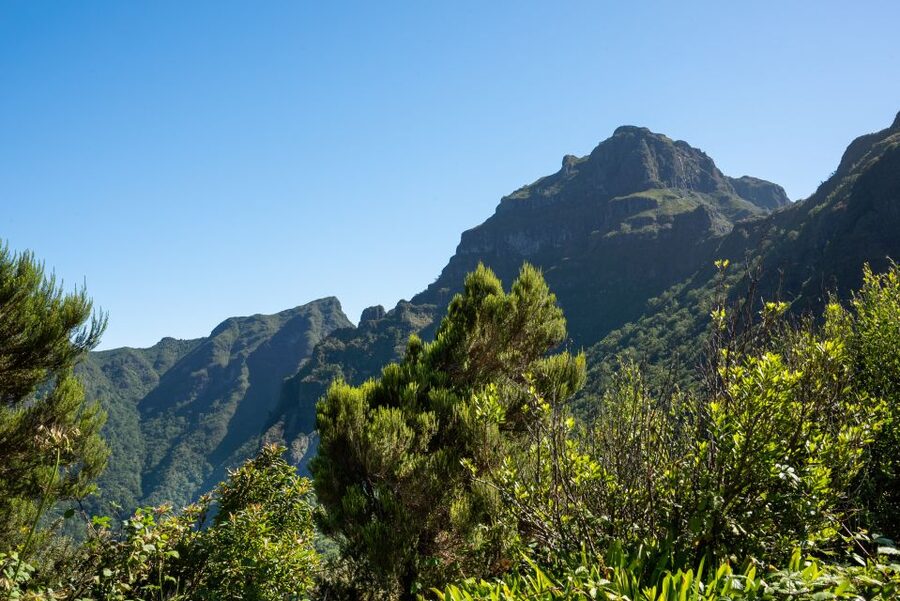 From Funchal: Best of Madeira's West Tour - Ribeira Brava, Canhas, and the long climb toward Paul da Serra