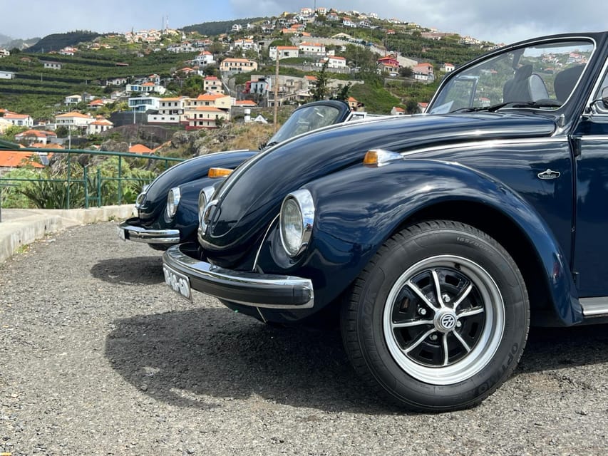 From Funchal: Cabo Girão & Poncha Tasting by Classic VW - Who this tour suits best (and who might skip it)