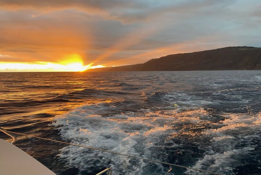 From Funchal: Cabo Girao Sunset Cruise on Luxury Catamaran - Who This Cabo Girão Cruise Fits Best