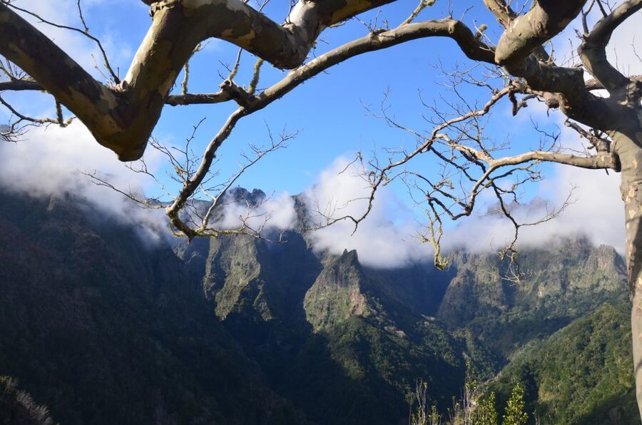 From Funchal: East Tour Madeira 4x4 Jipe Tour Santana Houses - Lombo Galego off-road adventure: what to expect and how to prepare