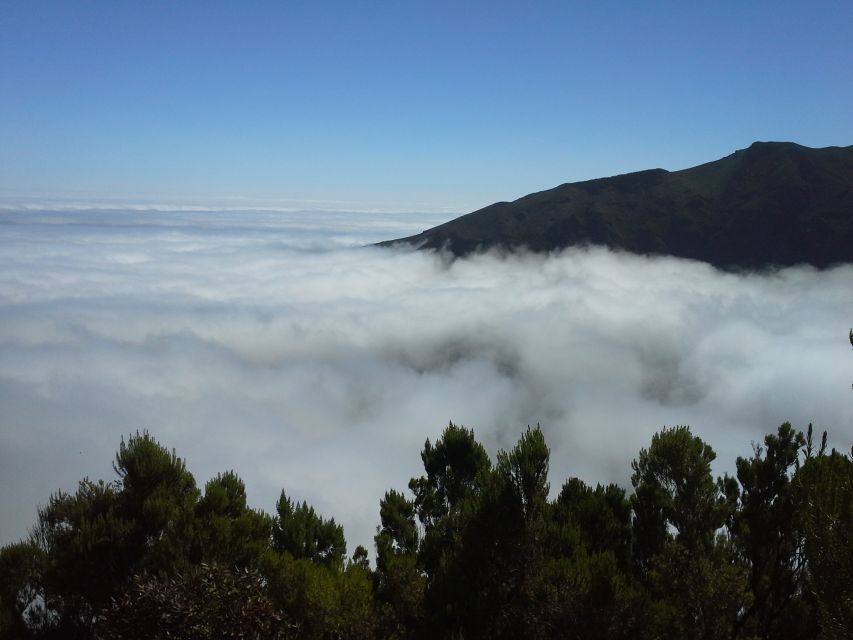 From Funchal: East Tour Madeira 4x4 Jipe Tour Santana Houses - Porto da Cruz and Engenhos do Norte: rum culture with a practical twist