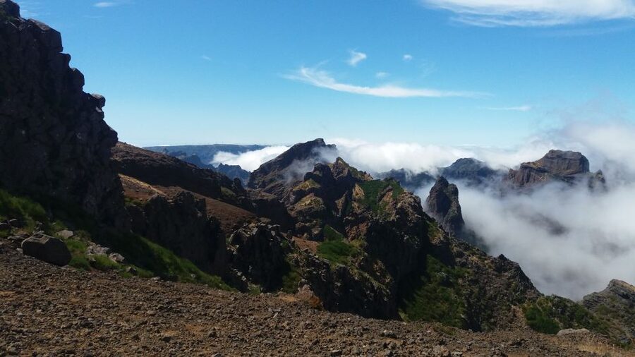 From Funchal: East Tour Madeira 4x4 Jipe Tour Santana Houses - Pickup from Funchal or Caniço, small groups, and why the jeep matters