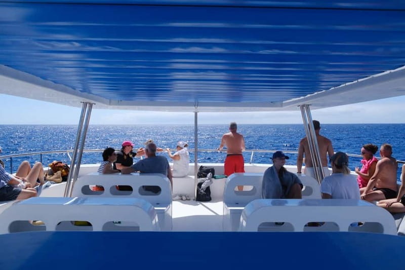 From Funchal: Ecological Catamaran Dolphin Whale Watching - Price and value: is $41 for 3 hours a fair deal?