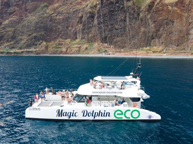 From Funchal: Ecological Catamaran Dolphin Whale Watching - Hybrid-electric eco catamaran from Funchal: what makes it different