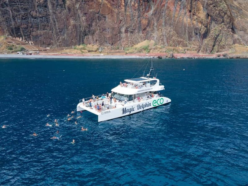 From Funchal: Ecological Catamaran Dolphin Whale Watching - The return route: Cabo Girão, Camara de Lobos, and Churchill’s Madeira connection