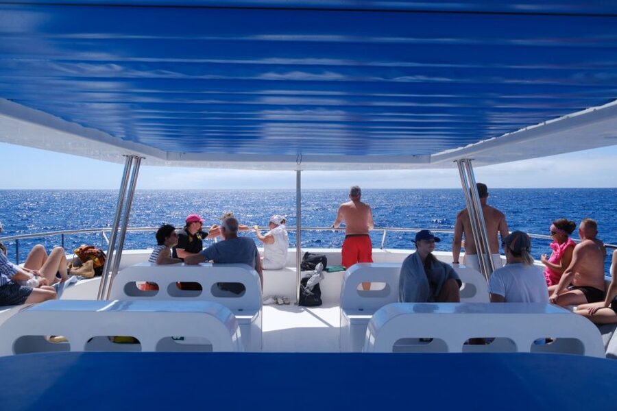 From Funchal: Ecological Catamaran Dolphin Whale Watching - On-board basics: bars, toilets, and the rules that shape the experience