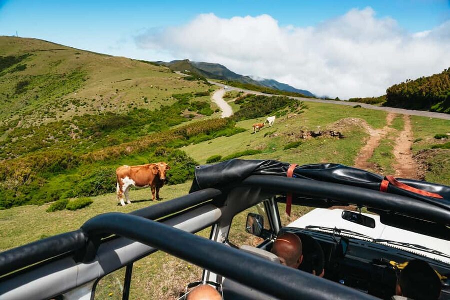From Funchal: Fanal, Porto Moniz and Seixal Day Jeep Tour - Paúl da Serra and the off-road feeling: where the weather changes