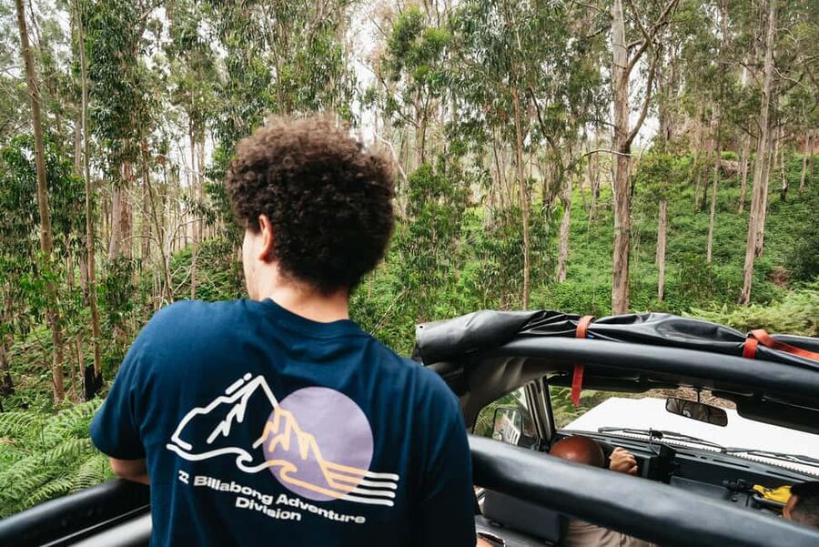 From Funchal: Fanal, Porto Moniz and Seixal Day Jeep Tour - Fanal Forest walk: the cloud-forest mood shift