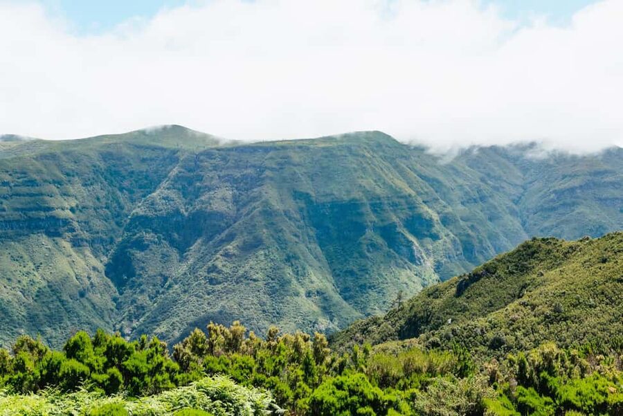 From Funchal: Fanal, Porto Moniz and Seixal Day Jeep Tour - Porto Moniz natural swimming pools: lunch plus a real water break