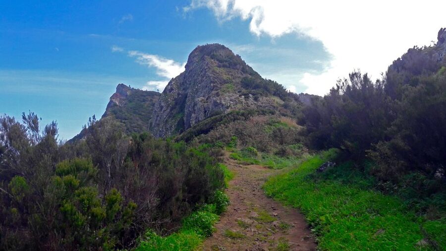 From Funchal: Machico to Porto da Cruz Larano Cliff Hike - Key things to know before you go