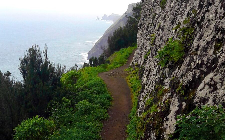 From Funchal: Machico to Porto da Cruz Larano Cliff Hike - First step: Funchal pickup that saves you real time
