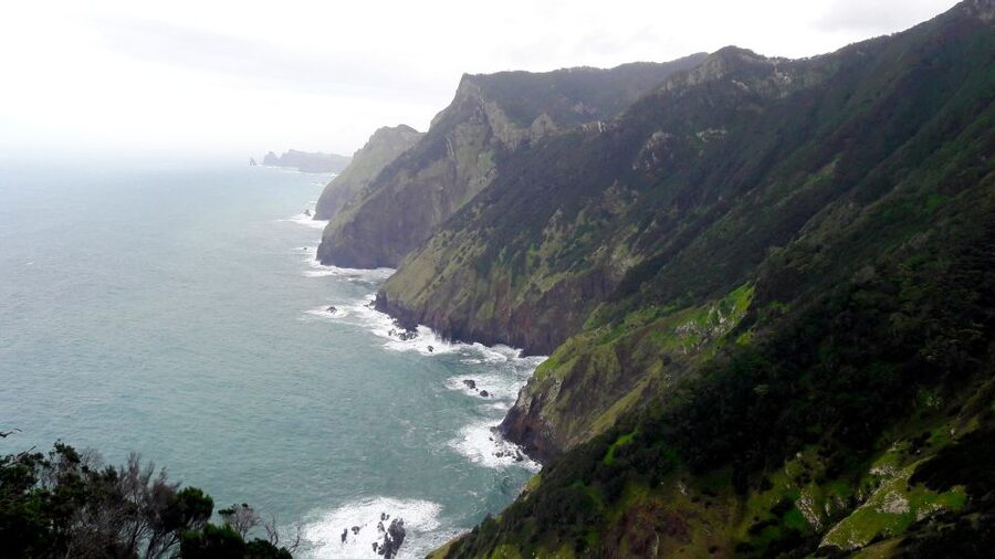 From Funchal: Machico to Porto da Cruz Larano Cliff Hike - Larano Cliffside: the ocean is close, and the footing matters