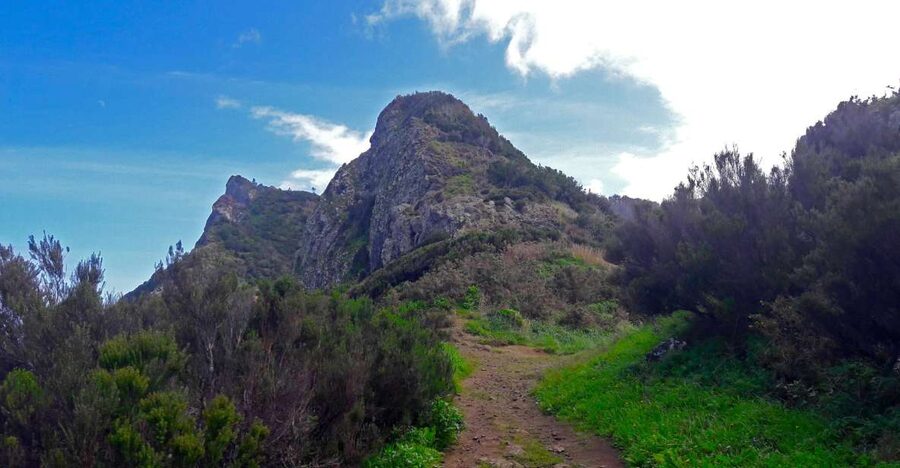 From Funchal: Machico to Porto da Cruz Larano Cliff Hike - Machico start: agricultural lanes, levada-style greenery, and a warm-up