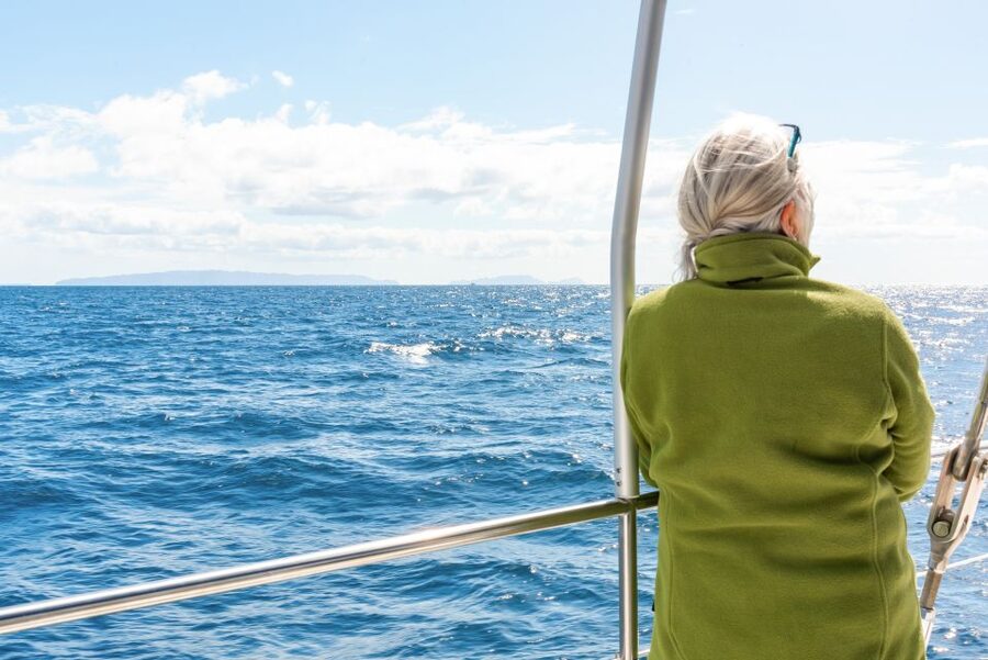 From Funchal: Madeira Dolphin and Whale Watching Tour - Entering The Day: How the 3-hour cruise actually plays out