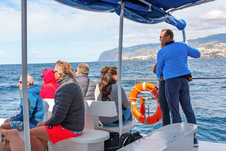 From Funchal: Madeira Dolphin and Whale Watching Tour - The shipboard setup: seating, sun zones, and onboard basics