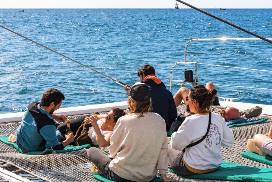 From Funchal: Madeira Dolphin and Whale Watching Tour - Who it suits best (and who might skip it)