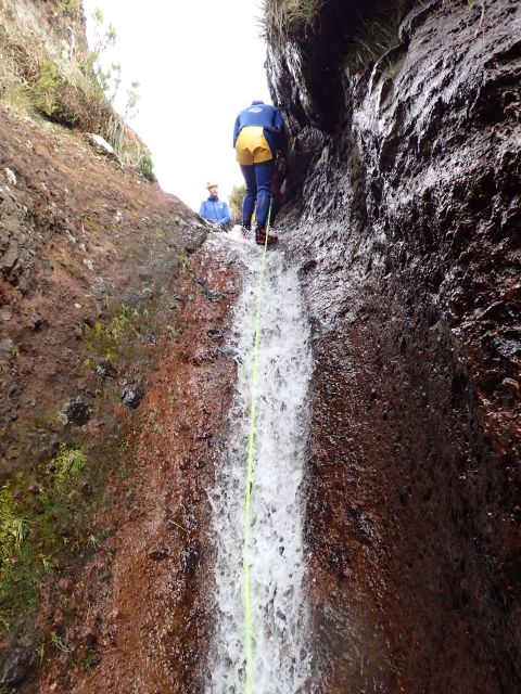 From Funchal: Madeira Island Canyoning for Beginners - From Funchal to the canyon: easy pickup, real outdoors
