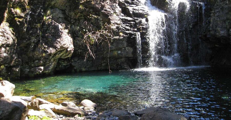 From Funchal: Madeira Lakes Levada Guided Hike - Key Highlights You Will Feel the Most