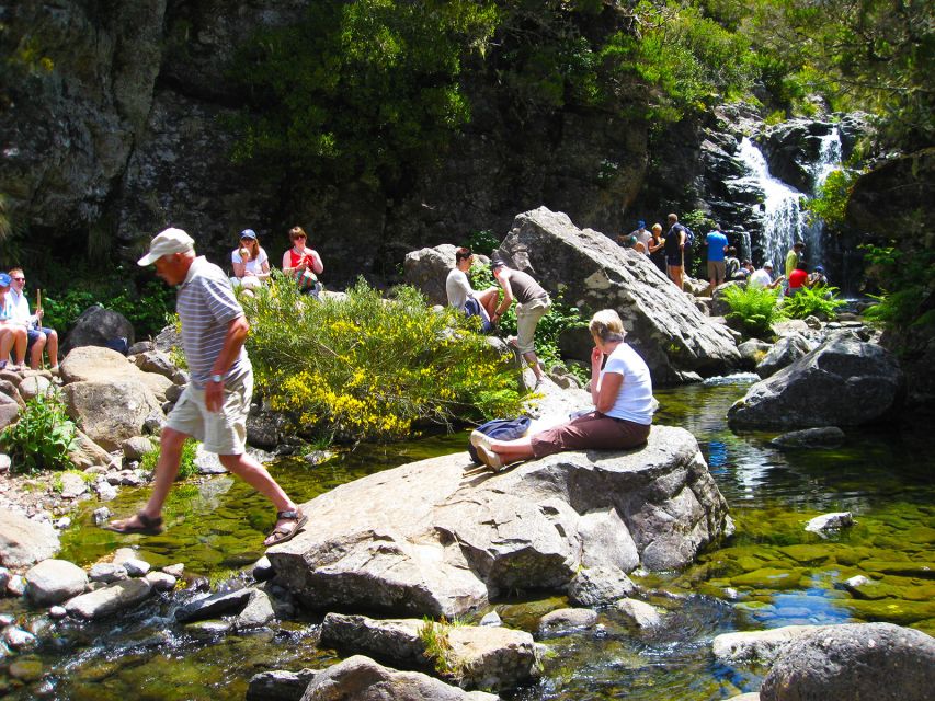 From Funchal: Madeira Lakes Levada Guided Hike - Levada do Alecrim: where water, birds, and shade do the work