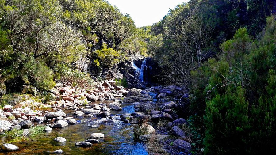 From Funchal: Madeira Lakes Levada Guided Hike - Pace and comfort: the real limits you should plan around